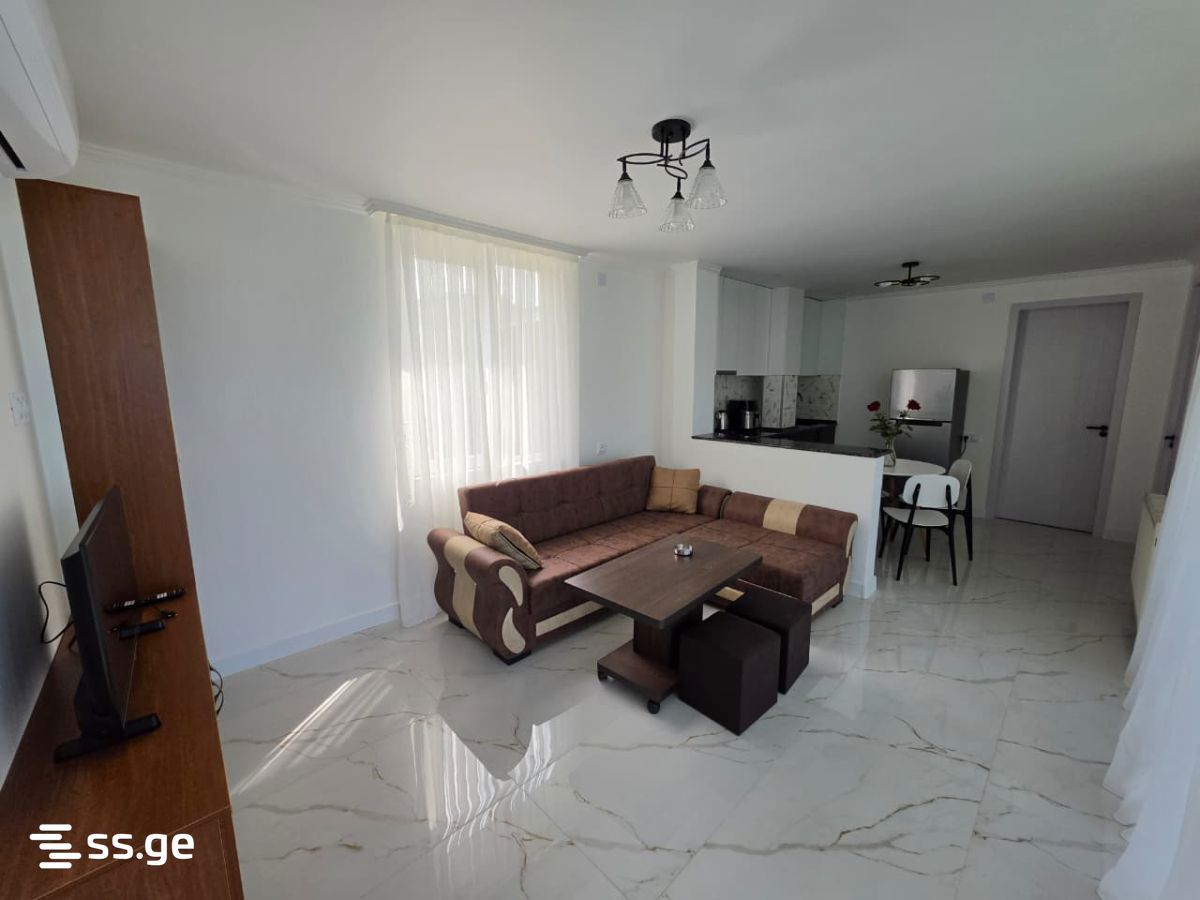 2 Room Private House For Rent. Akhalsopeli view 4