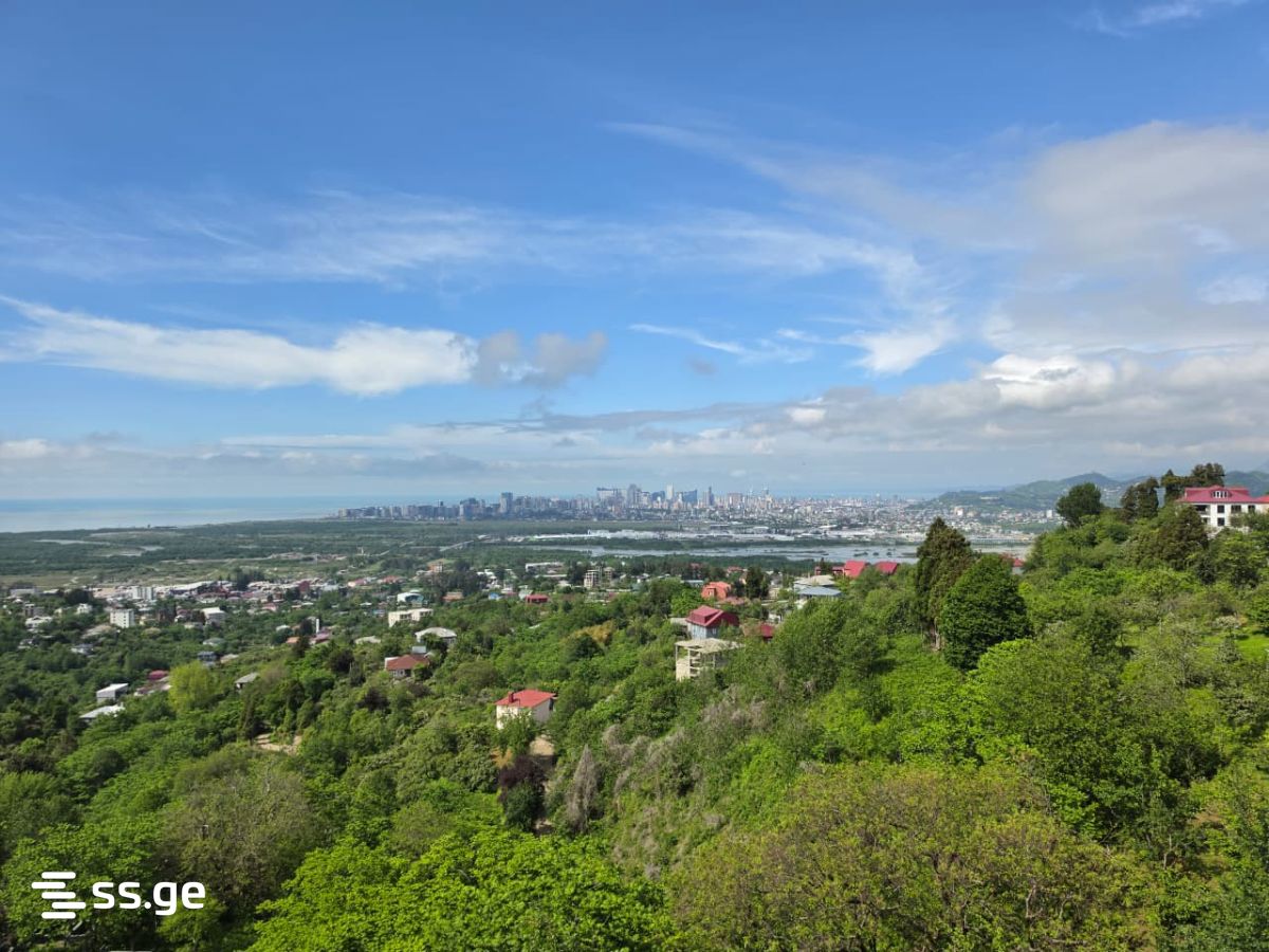 2 Room Private House For Rent. Akhalsopeli view 11