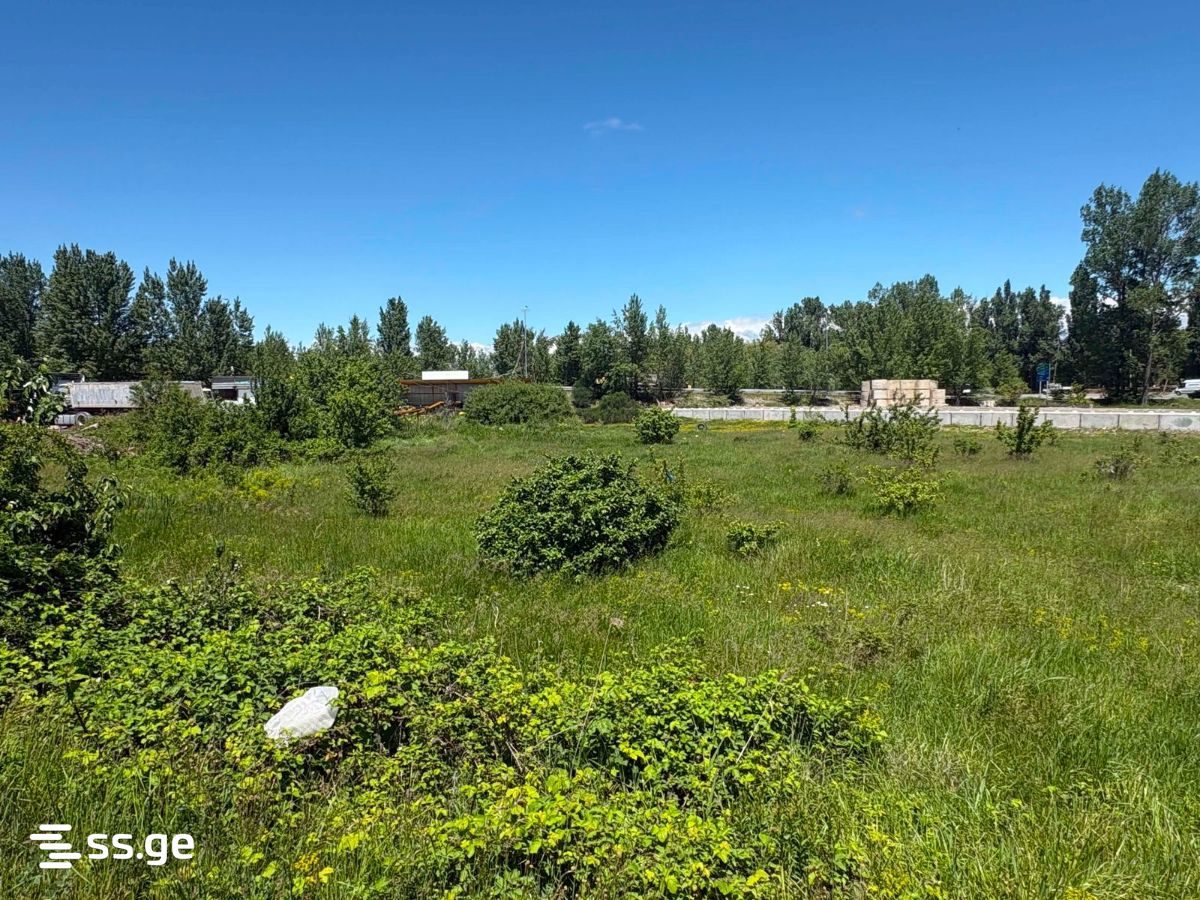 Land For Sale. Gori view 3