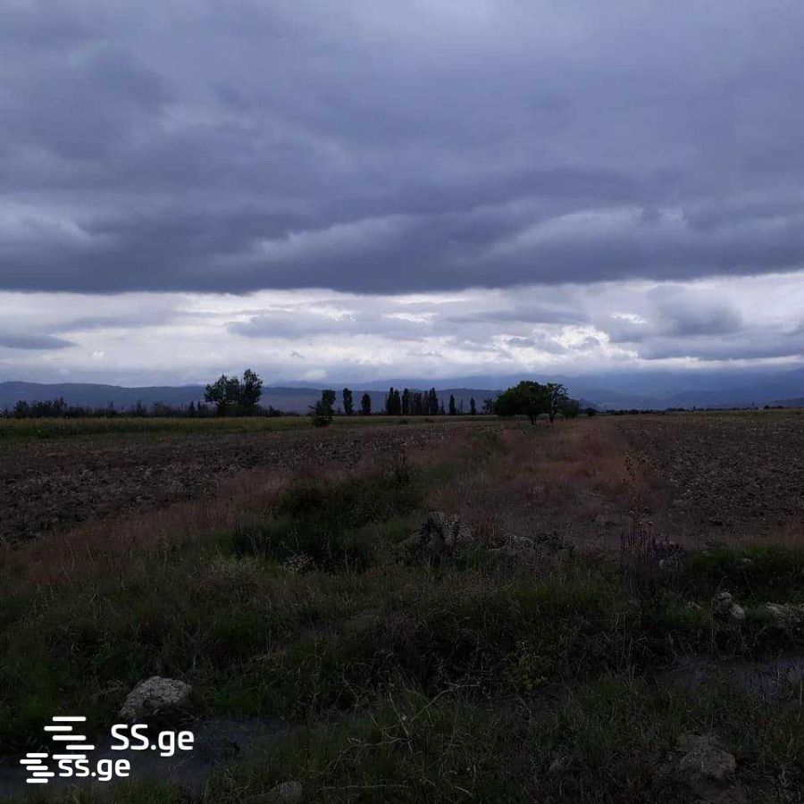 იყიდება მიწა მუხრანიში view 1