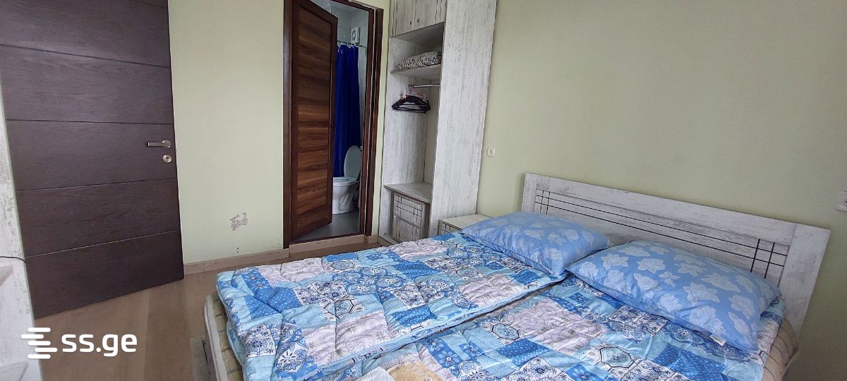 4 Room Summer Cottage Daily Rent. Bakuriani view 11