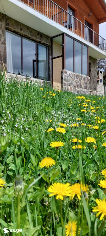 4 Room Summer Cottage Daily Rent. Bakuriani view 14