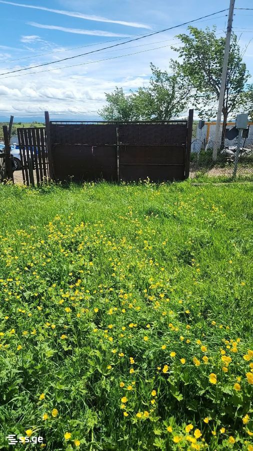 Land For Sale. Orbeti view 1