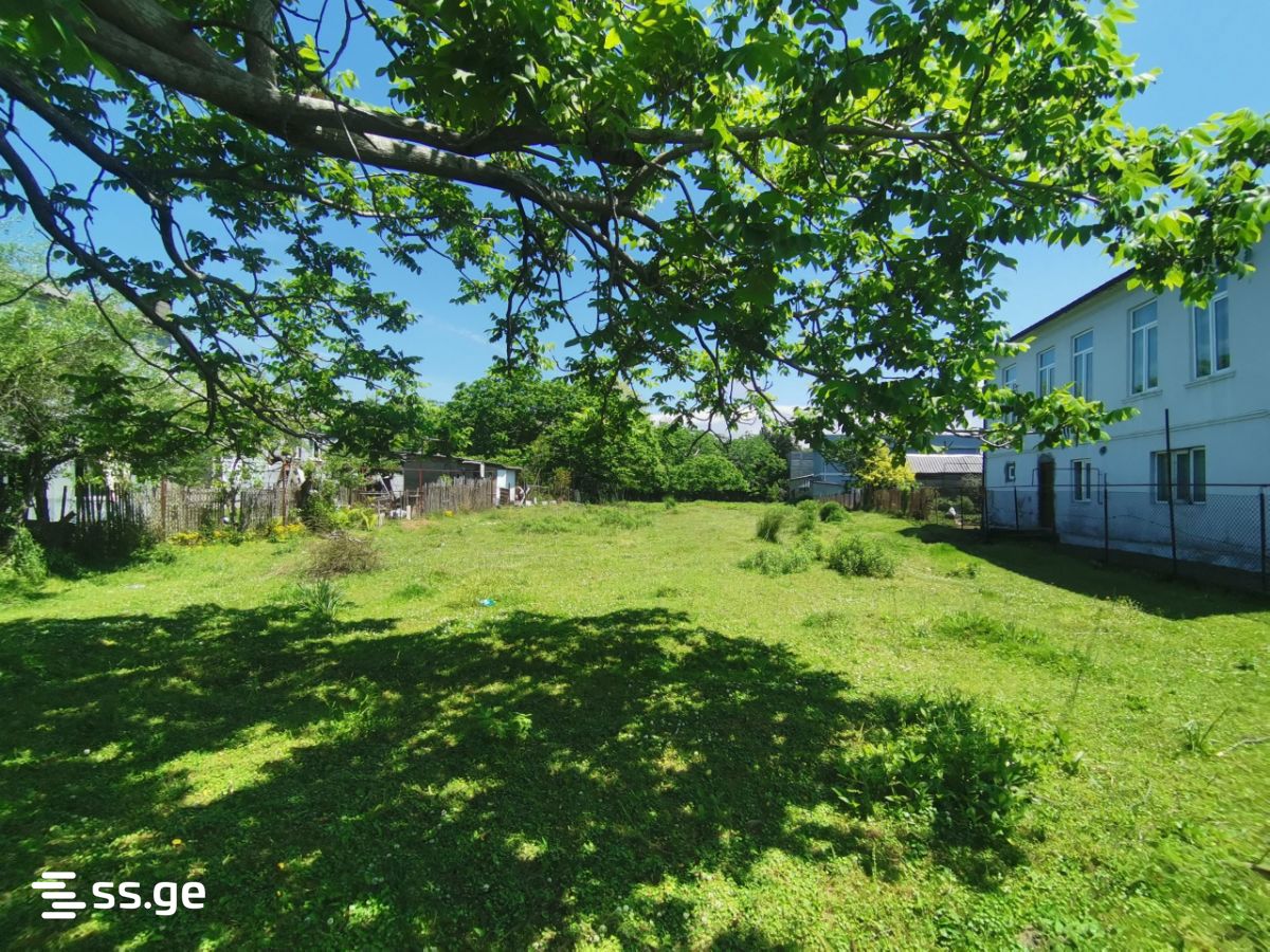 Land For Sale. Kobuleti view 2