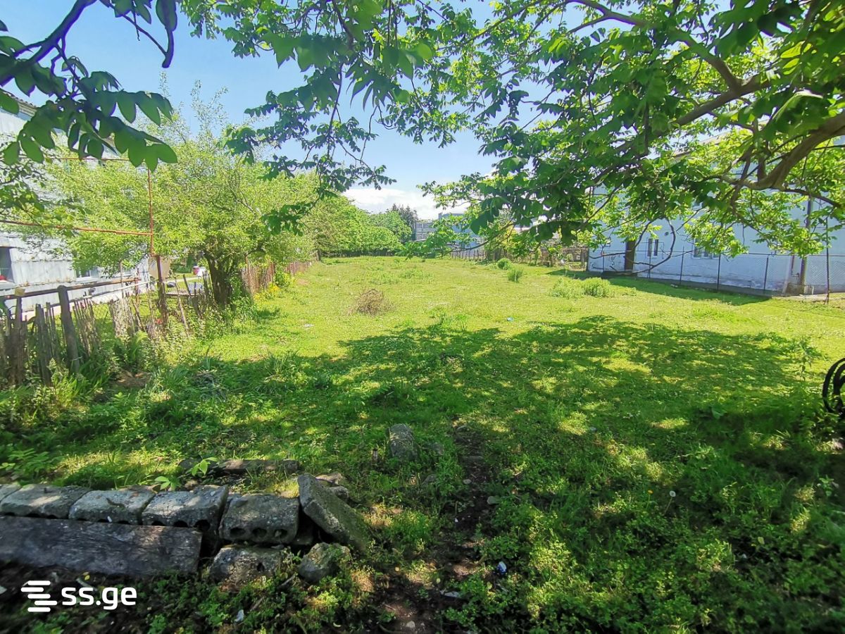 Land For Sale. Kobuleti view 3