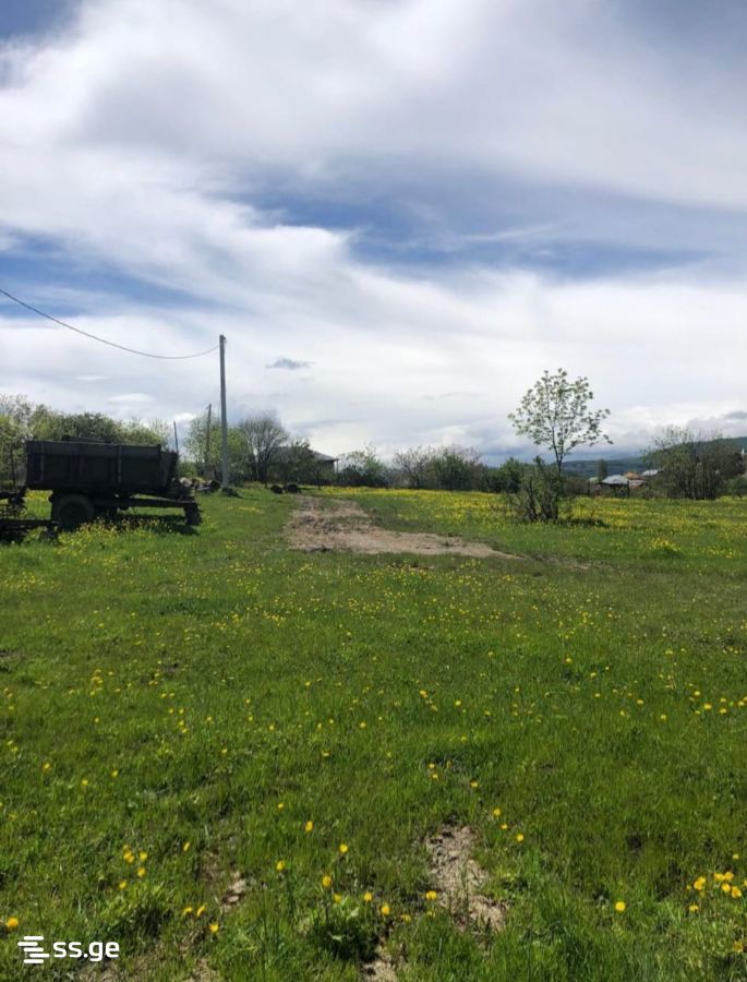 Land For Sale. Orbeti view 4