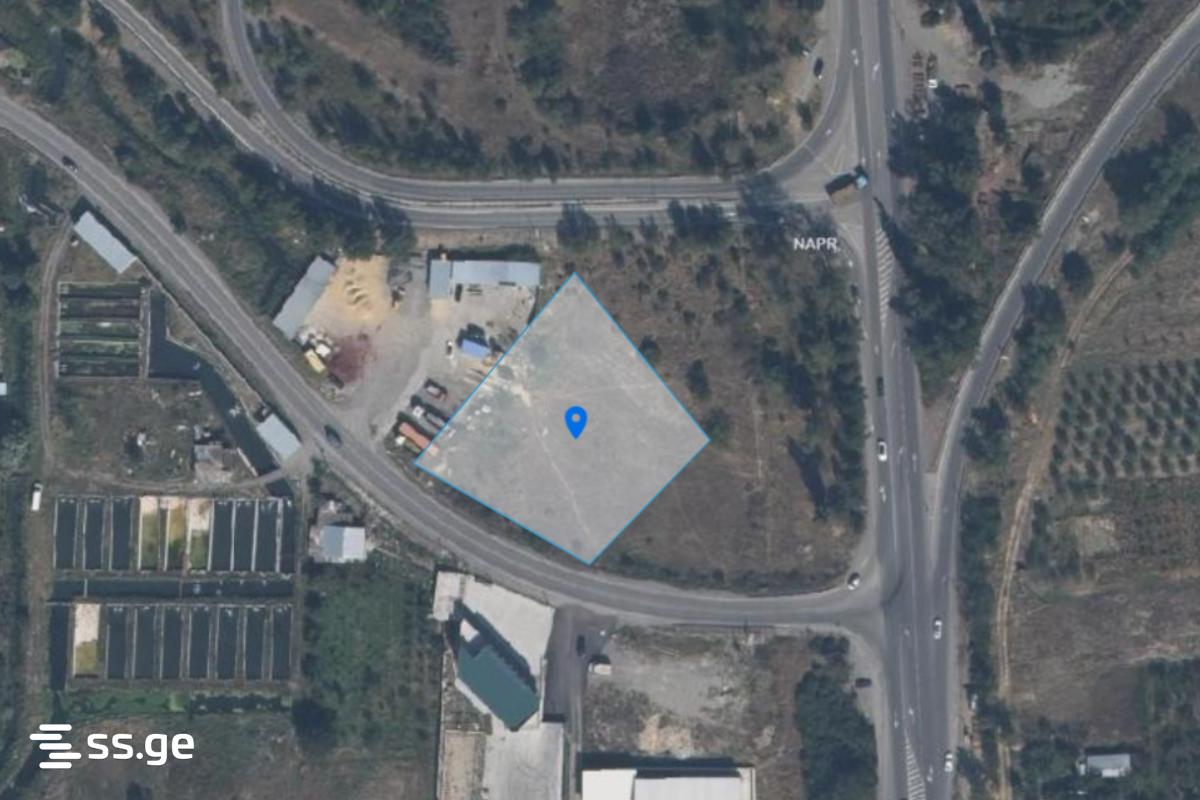Land For Sale. Gori view 2
