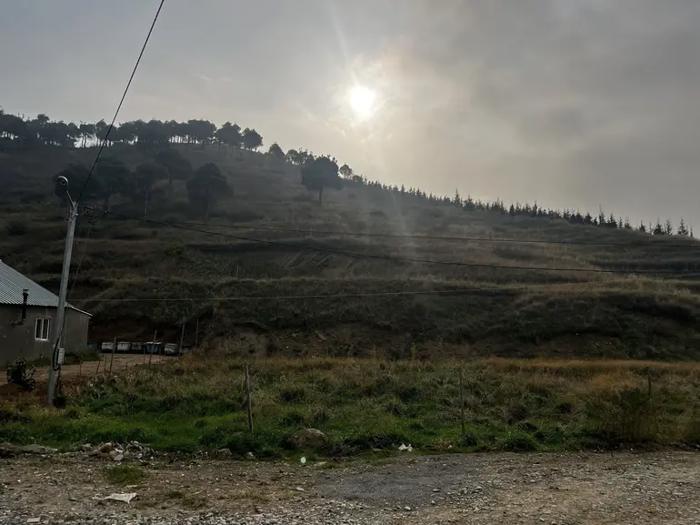https://static.ss.ge/20260524/7_8eec0376-a085-4103-b5cd-5effb193fa1b_Thumb.jpg