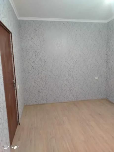 https://static.ss.ge/20260525/10_50d522f5-b7e5-4fa8-a5fc-4010bed72aed_Thumb.jpg