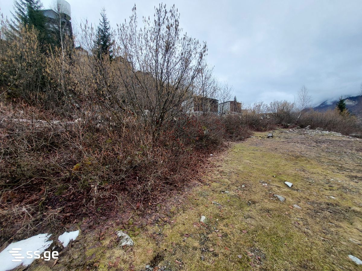 Land For Sale. Mestia view 3