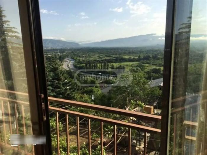 https://static.ss.ge/20260525/8_3d71a676-806e-4a99-be8f-f9d2410f09d6_Thumb.jpg
