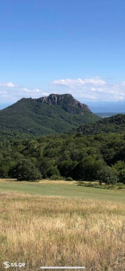 Land For Sale. Orbeti view 2