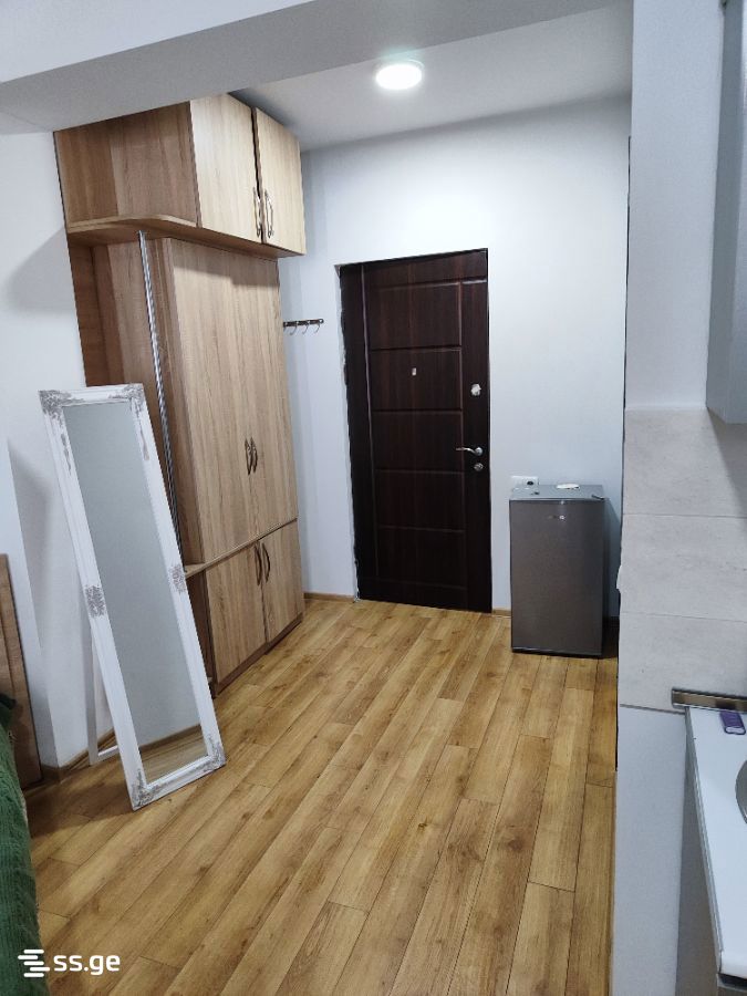 1 Room Flat For Rent. Bakuriani view 6