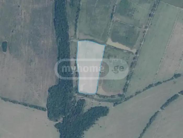 https://static.ss.ge/20260525/9_c63d36ab-45e4-409a-9a91-6c913bfd7be6_Thumb.jpg