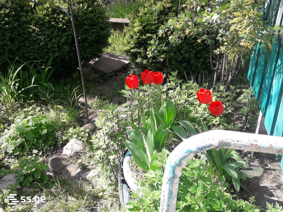 6 Room Summer Cottage For Sale view 8