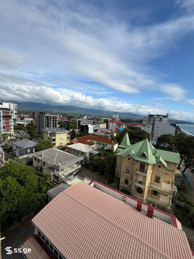 2 Room Flat For Sale view 3