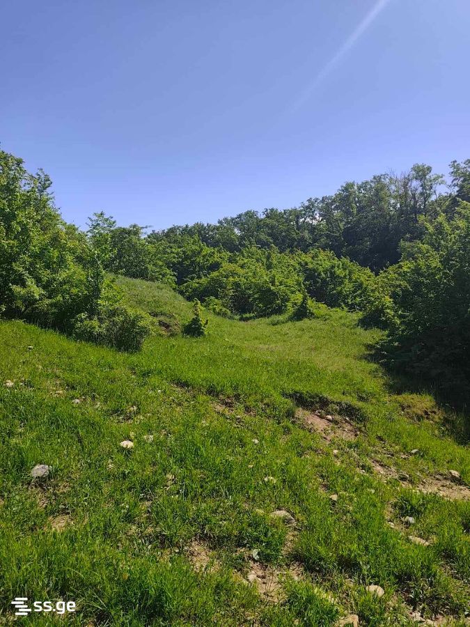 Land For Sale. Norio view 2