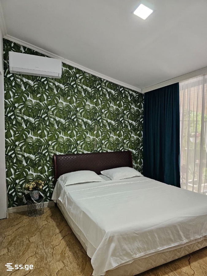 3 Room Private House Daily Rent. Shekvetili view 10