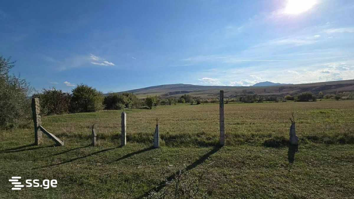 Land For Sale. Gori view 5