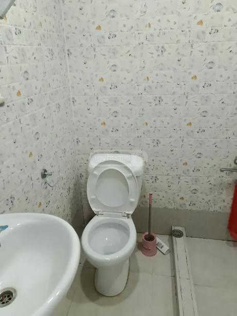 https://static.ss.ge/20260526/15_96634527-faeb-4fa3-ac36-44af6f310da7_Thumb.jpg