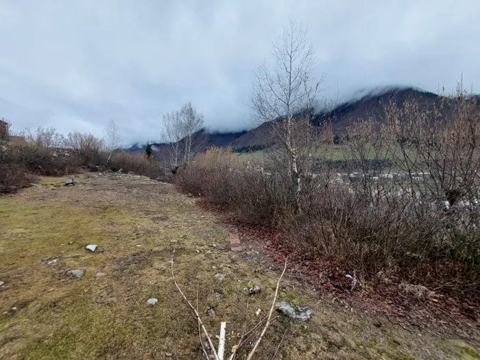 https://static.ss.ge/20260526/15_acca6be5-20bb-41af-8391-54d3e8cce043_Thumb.jpg