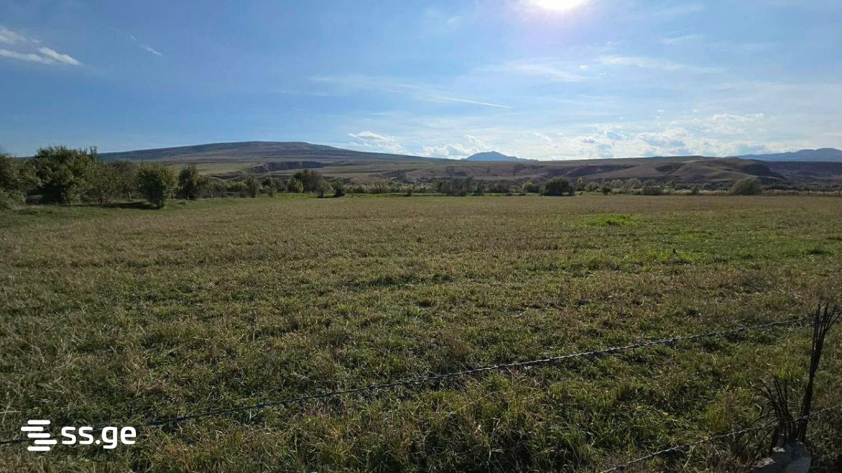Land For Sale. Gori view 1