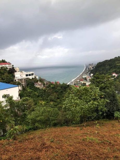 https://static.ss.ge/20260526/19_0d253c2f-09b1-4342-a9e1-60dfa7ddba06_Thumb.jpg