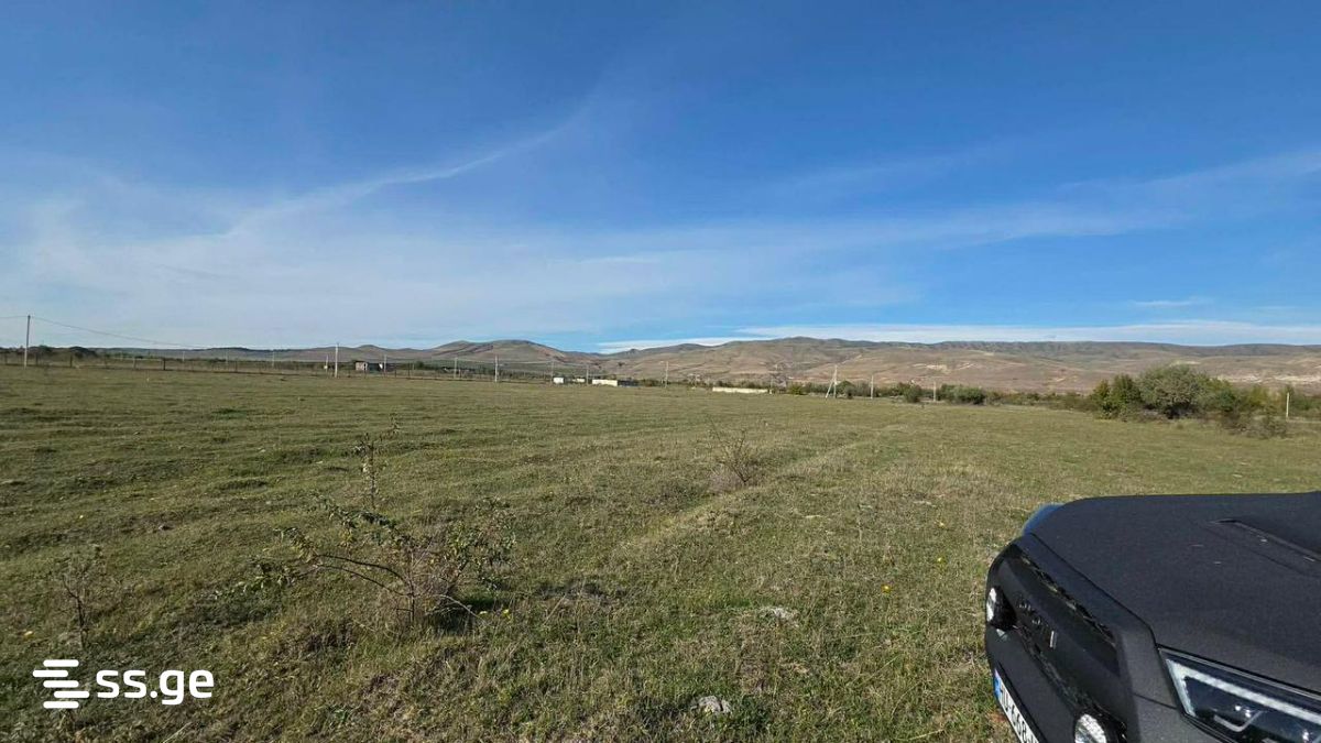 Land For Sale. Gori view 6