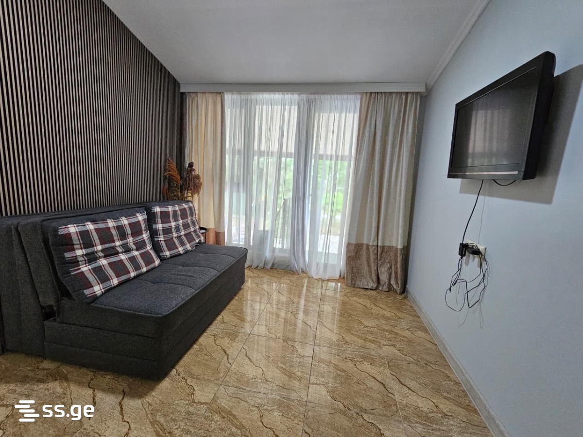 3 Room Private House Daily Rent. Shekvetili view 9