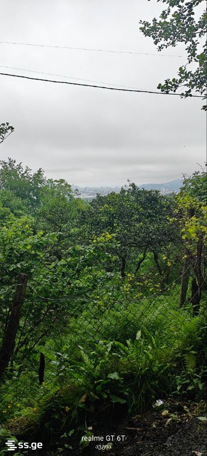 Продажа Земля в хелвачаури view 3