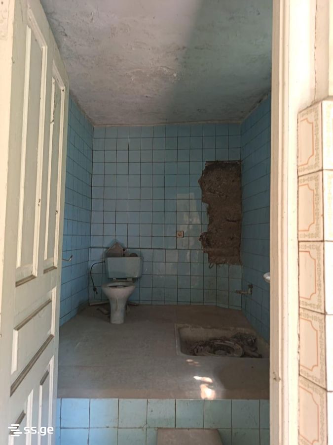 For Sale 4 Room Country House Borjomis Munitsipalitetshi view 25
