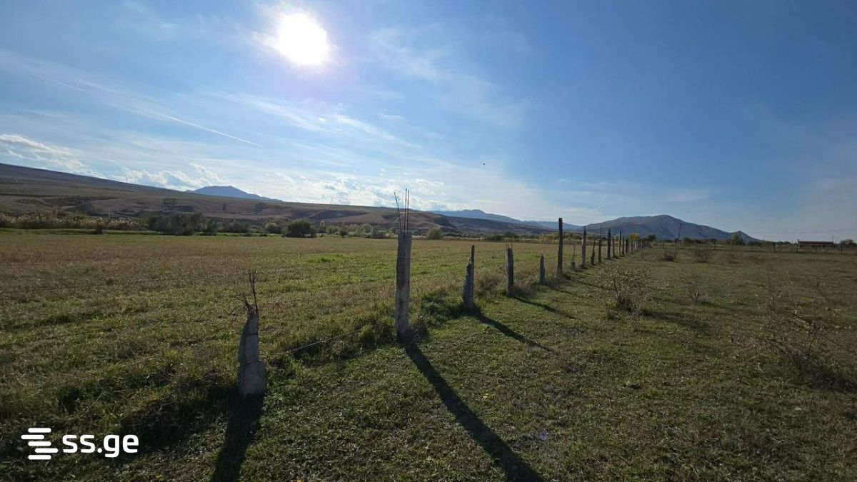 Land For Sale. Gori view 4