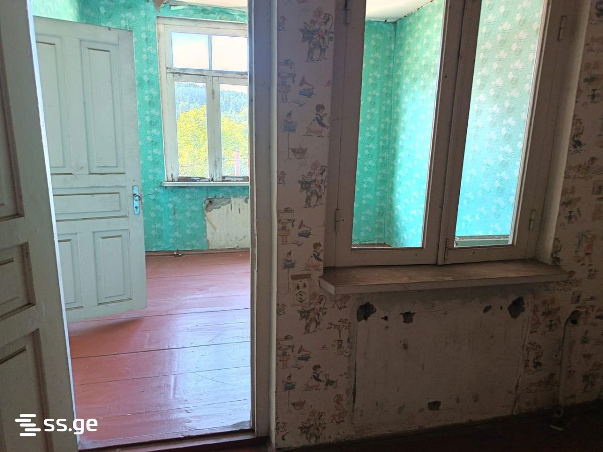 For Sale 4 Room Country House Borjomis Munitsipalitetshi view 26