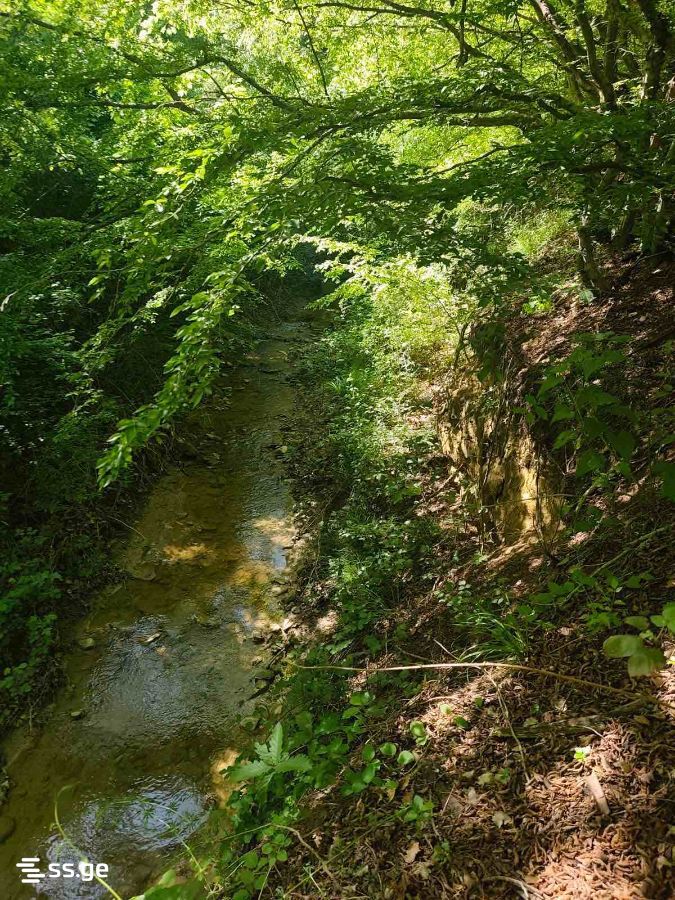 Land For Sale. Norio view 4