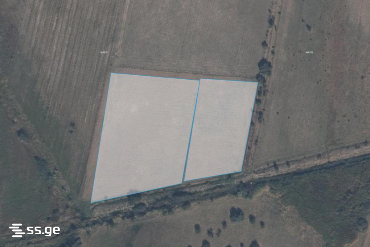 Land For Sale. Gori view 3