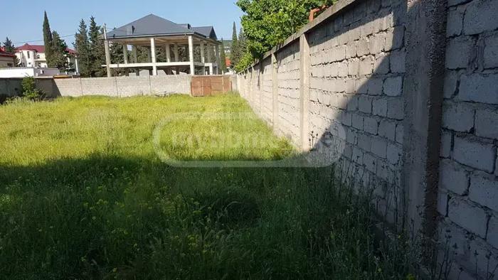 https://static.ss.ge/20260527/10_19e33a20-b9de-40ca-8af1-95caf6de3a10_Thumb.jpg