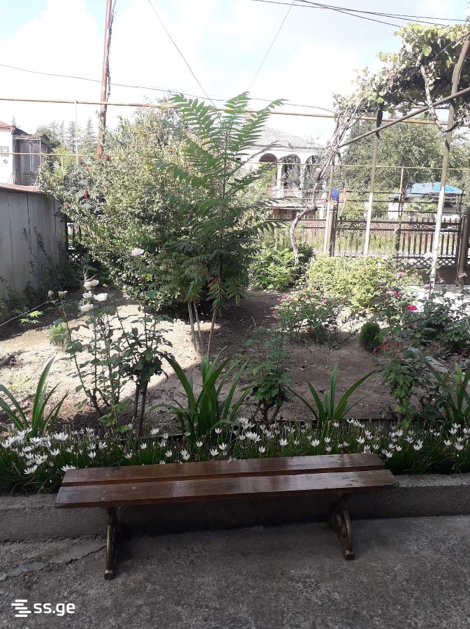 5 Room Private House For Rent. Zugdidi view 11