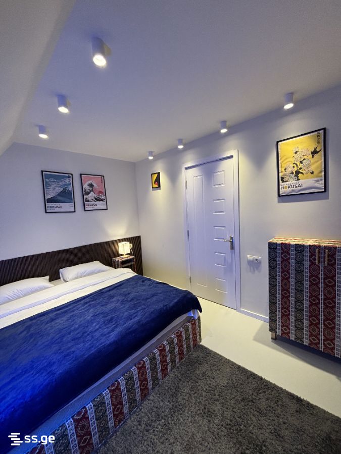 8 Room Summer Cottage For Rent. Bazaleti view 7