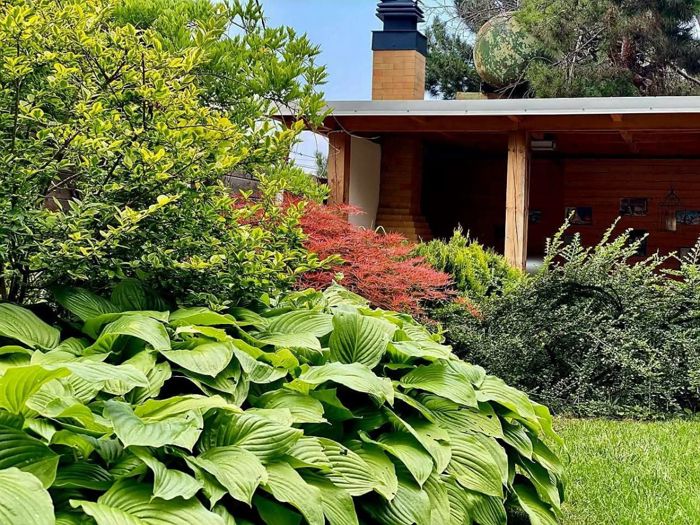 https://static.ss.ge/20260527/13_8ba9cf76-3870-497a-9b06-f4abf5756a3b_Thumb.jpg