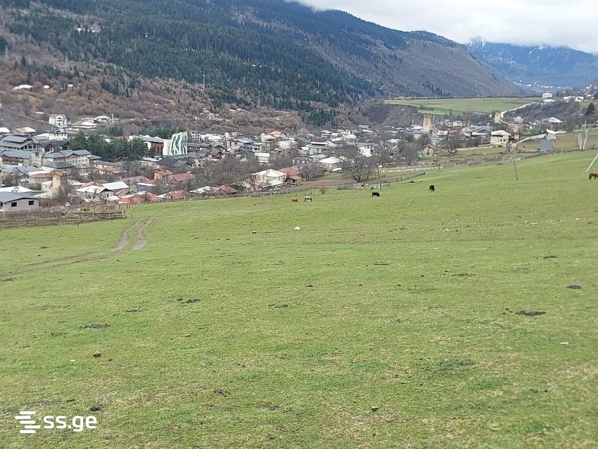 იყიდება მიწა მესტიაში view 1