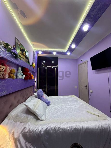 https://static.ss.ge/20260527/17_2ca24be5-6dbc-4102-95ec-3daa360d3e87_Thumb.jpg
