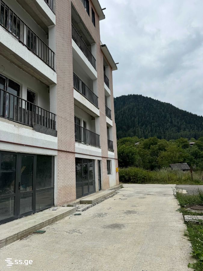 Office For Sale. Borjomi view 3