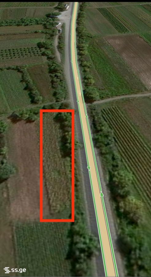 Land For Sale. Telavi, 1 of 2