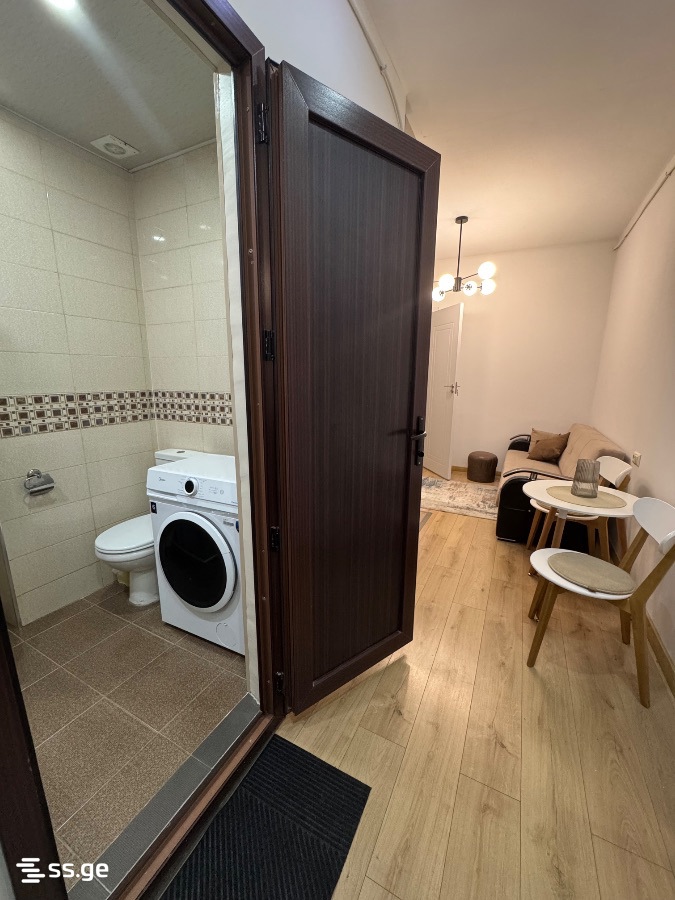 2 Room Flat Daily Rent. Batumi view 9