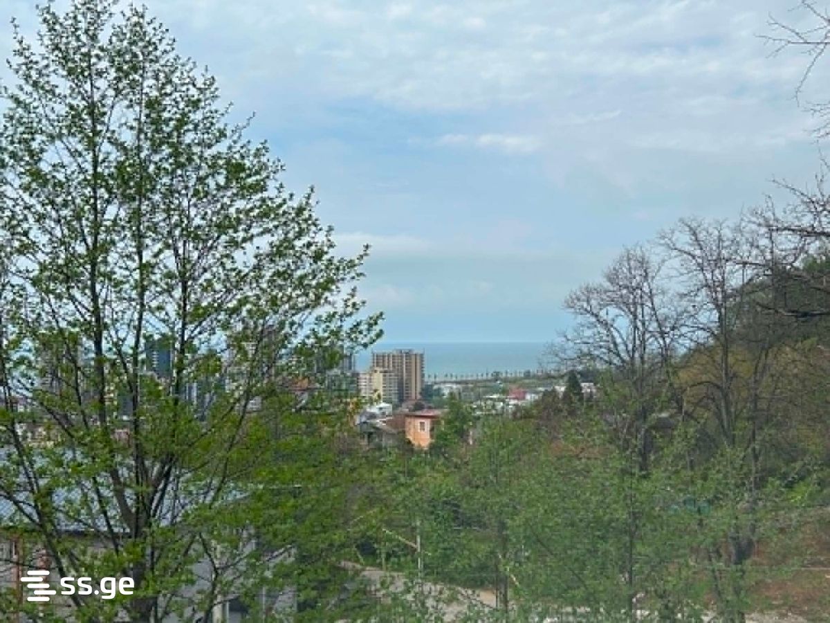იყიდება Private House გონიოში view 6