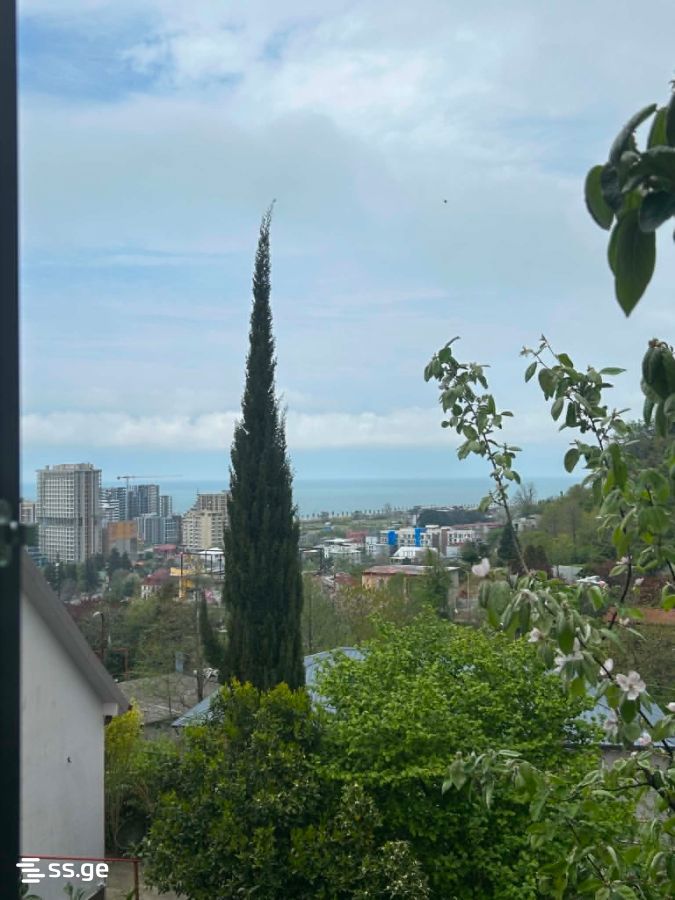 იყიდება Private House გონიოში view 7