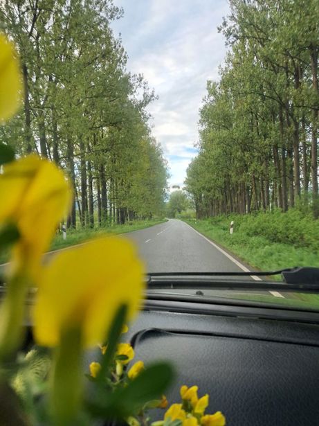 https://static.ss.ge/20260528/6_16672000-c1f3-423d-a63a-a5f97641ec7e_Thumb.jpg