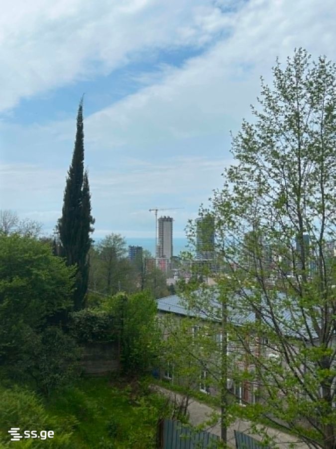 იყიდება Private House გონიოში view 8