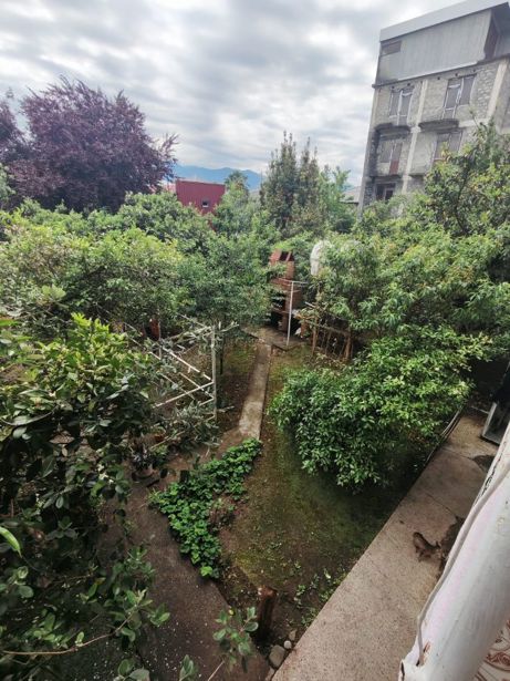 https://static.ss.ge/20260528/7_62dfd6ed-cf4b-49e9-8352-df65c91473a2_Thumb.jpg