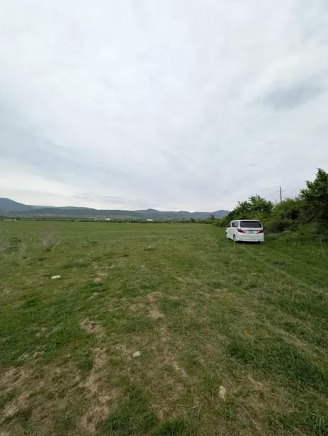 https://static.ss.ge/20260528/9_8c8f8603-90ee-4082-a6b2-511918bce59f_Thumb.jpg